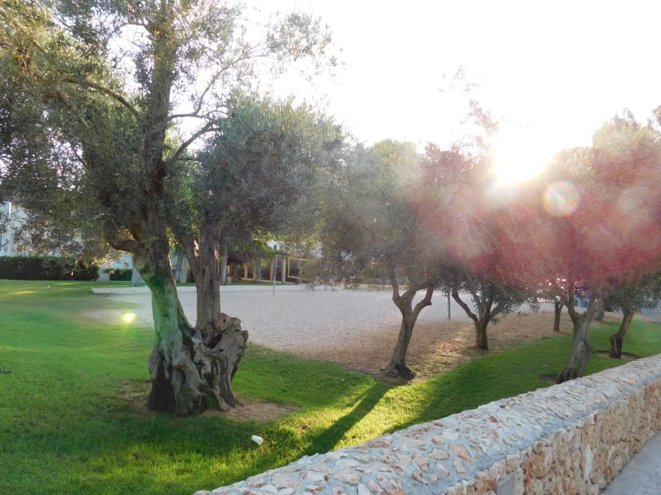 Sonstiges Protur Floriana Resort Aparthotel