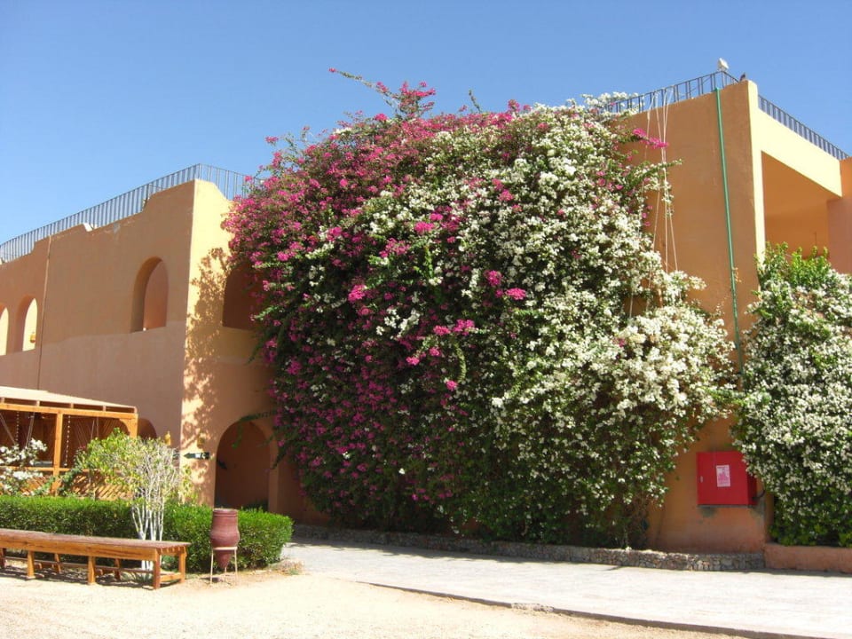 Schön Giftun Azur Resort