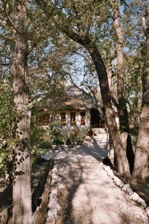 Eingangsbereich Lobby Hotel Etosha Aoba Lodge
