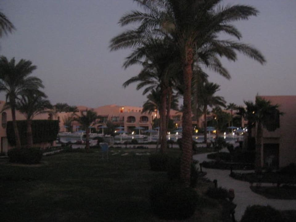 Ausblick vom Zimmer Ali Baba Palace Hotel