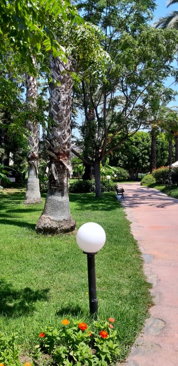 Gartenanlage Starlight Resort Hotel