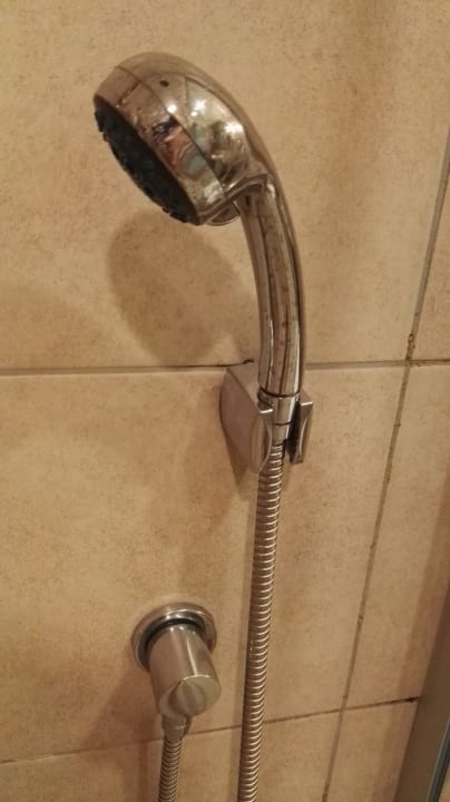 Teilweise schlecht montiert Well Palace Side