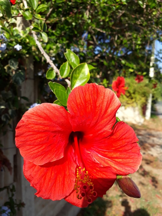 Gartenanlage Aldiana Club Rocca Nettuno Calabria