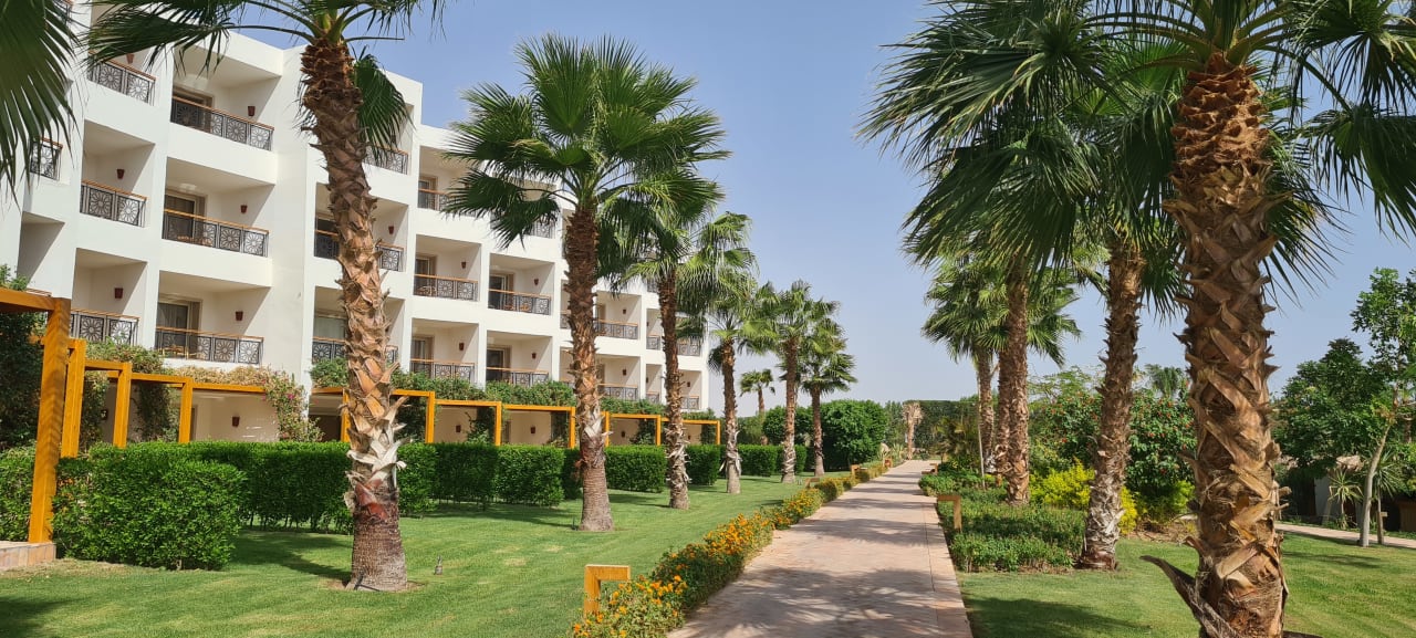 Gartenanlage Fort Arabesque Resort, Spa & Villas