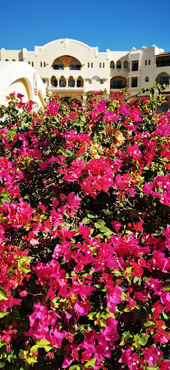 Außenansicht Hotel Kempinski Soma Bay