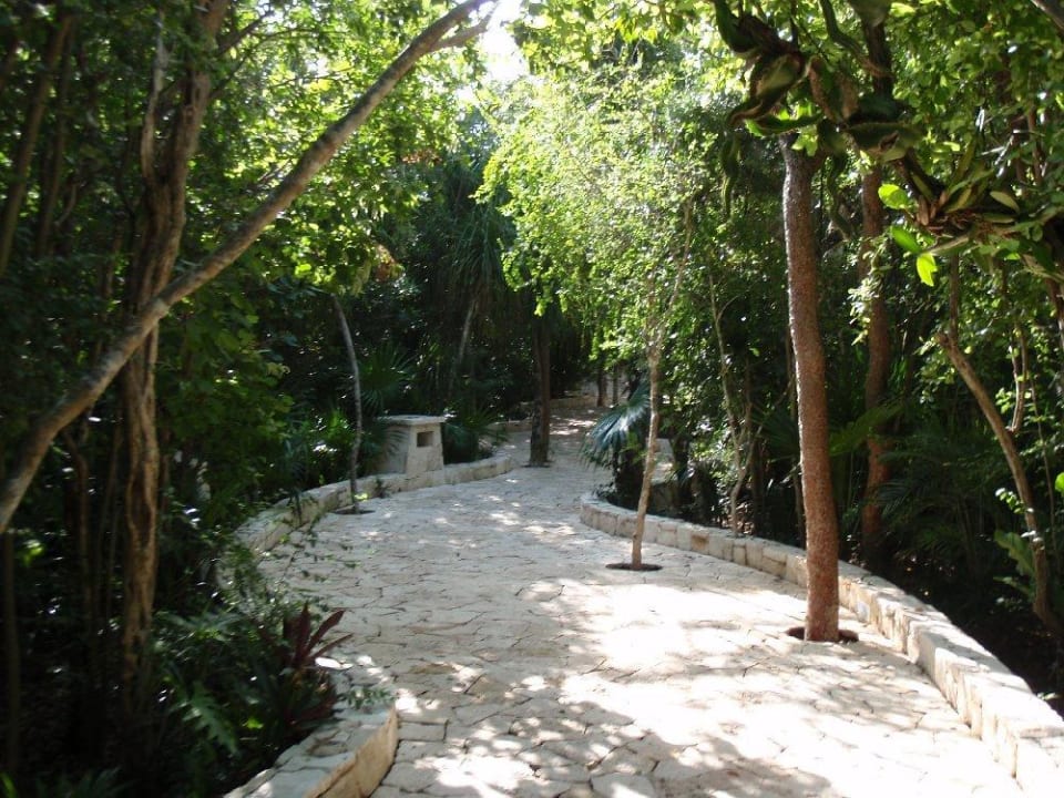 Weg vom / zum Strand Catalonia Royal Tulum Beach & Spa Resort - Adults only