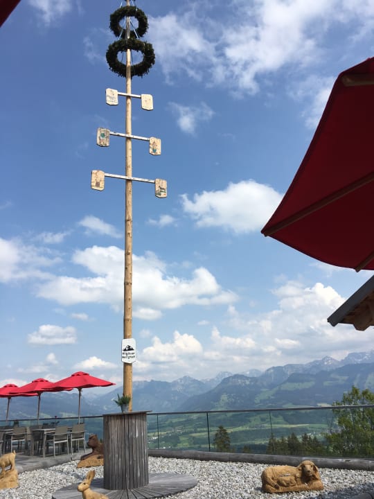 Ausblick Familotel Allgäuer Berghof