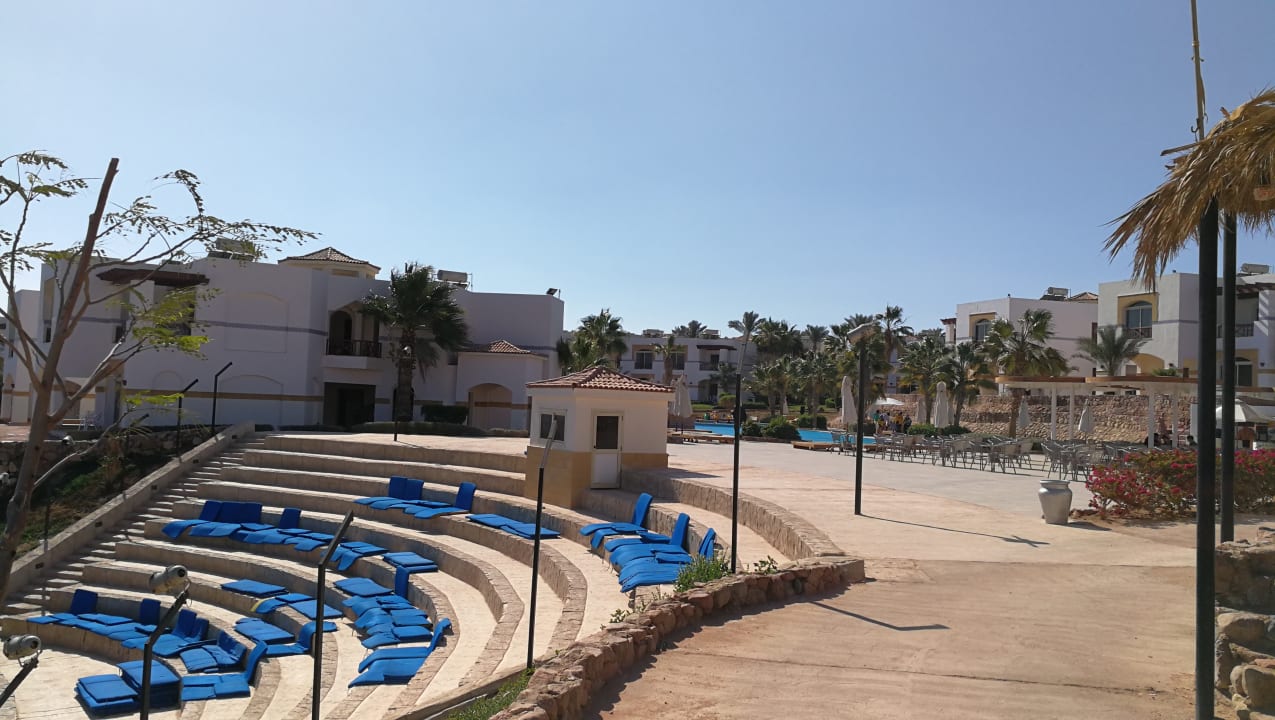 Animation Amphoras Blu