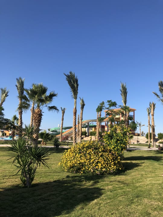 Zimmer Malikia Resort Abu Dabbab