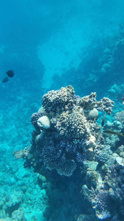 Strand Three Corners Sea Beach Resort