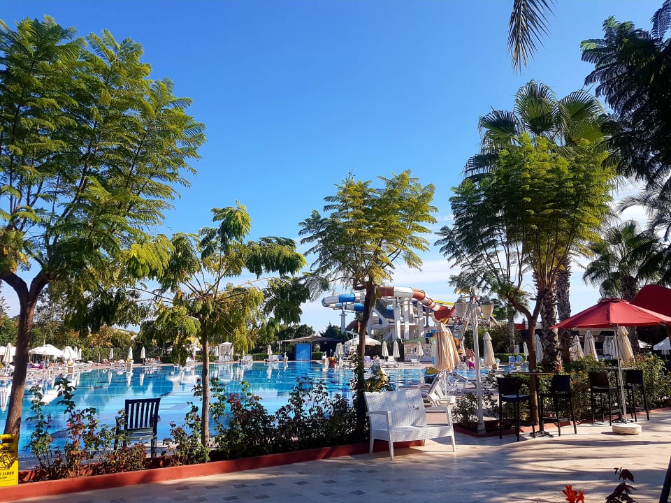 Pool Hotel Delphin Imperial