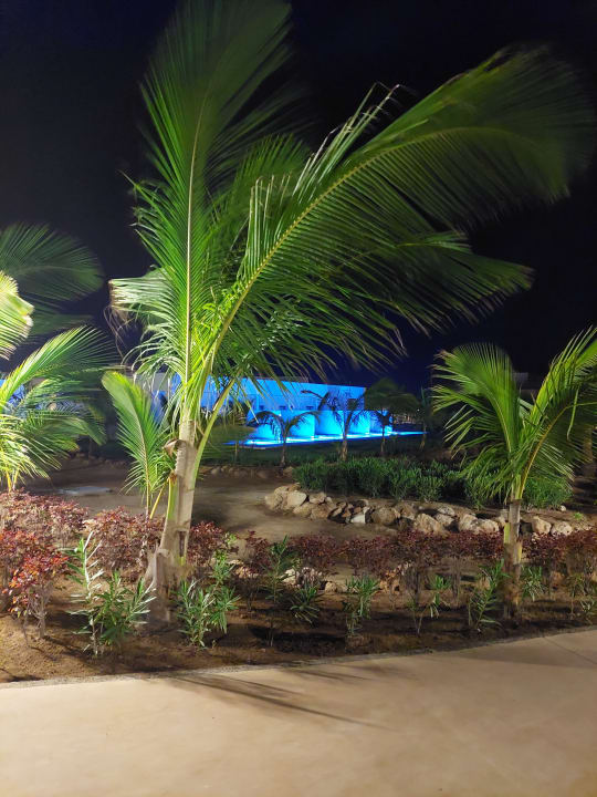Gartenanlage Hotel Riu Palace Boavista