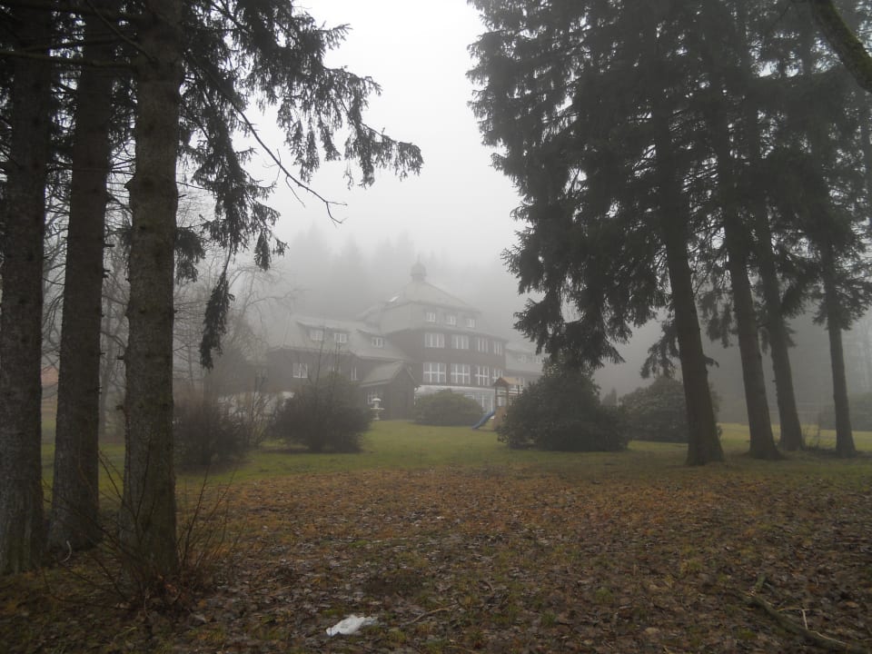 In den Morgenstunden,hat Atmosphäre!  Hotel Harzhaus