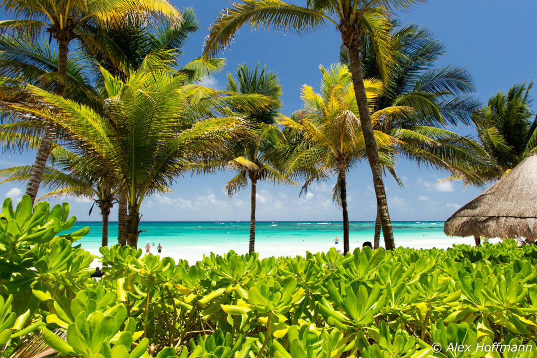 Strandblick Catalonia Royal Tulum Beach & Spa Resort - Adults only