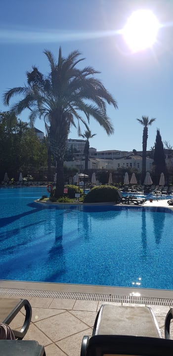 Pool Side Star Elegance