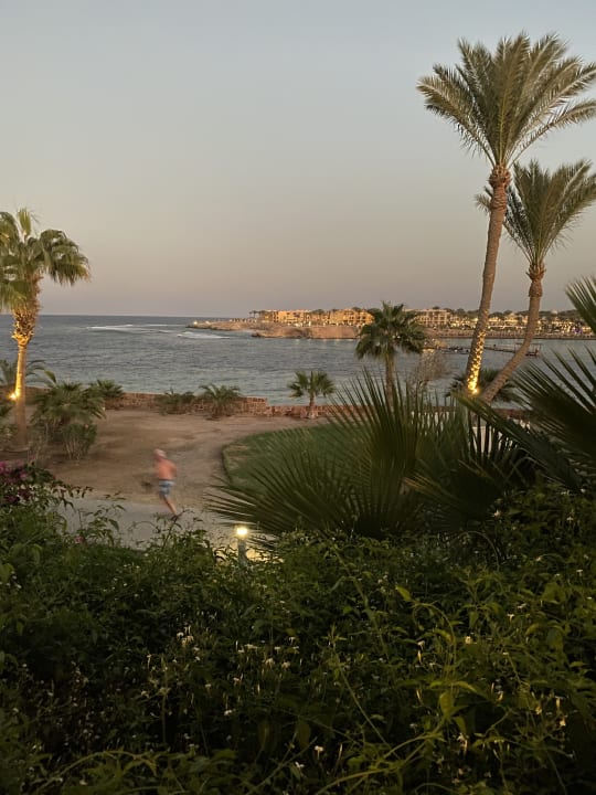 Ausblick Steigenberger Coraya Beach - Adults only