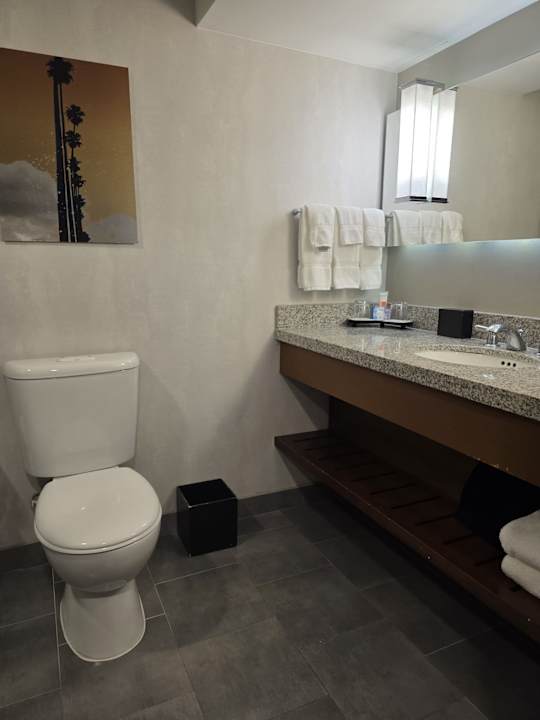 Zimmer Loews Hollywood Hotel