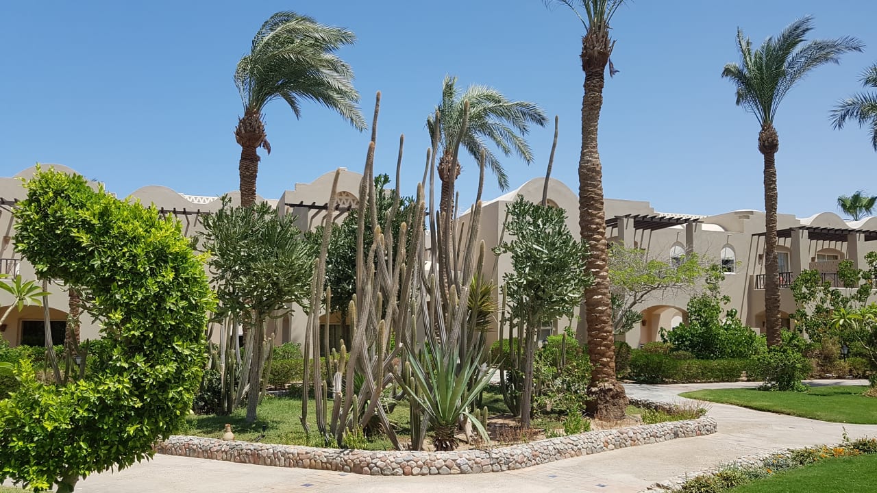 Gartenanlage Jaz Makadi Oasis Resort