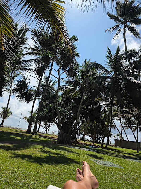 Gartenanlage Mermaid Hotel & Club