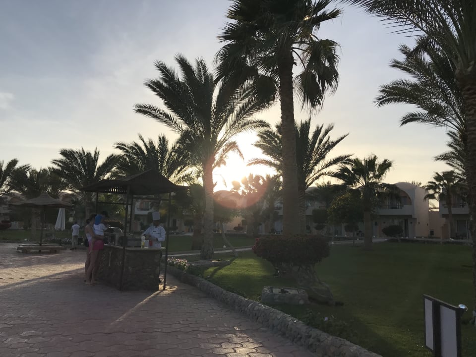 Gastro Three Corners Sea Beach Resort