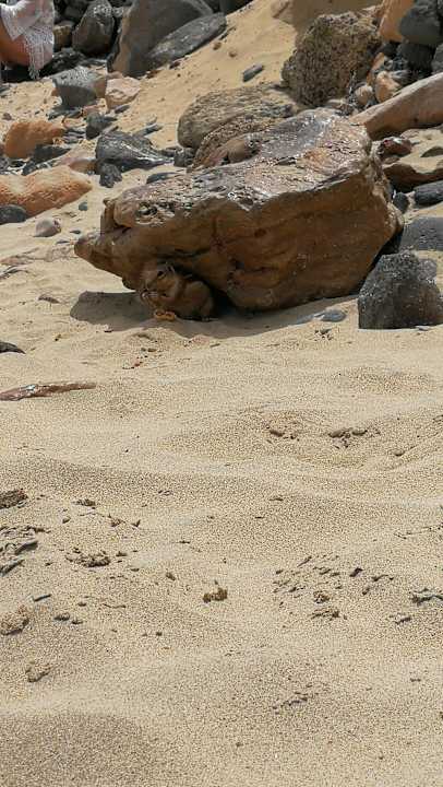 Strand R2 Pajara Beach