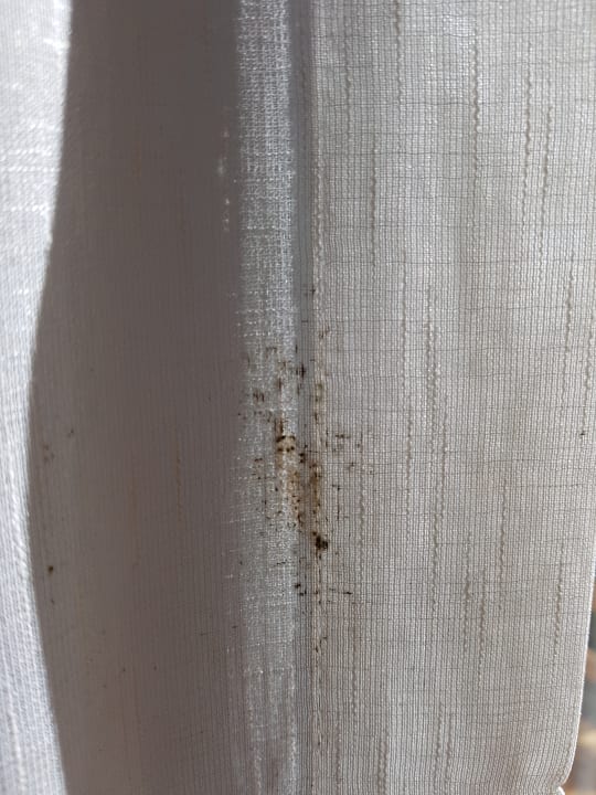 Zimmer whala!boca chica