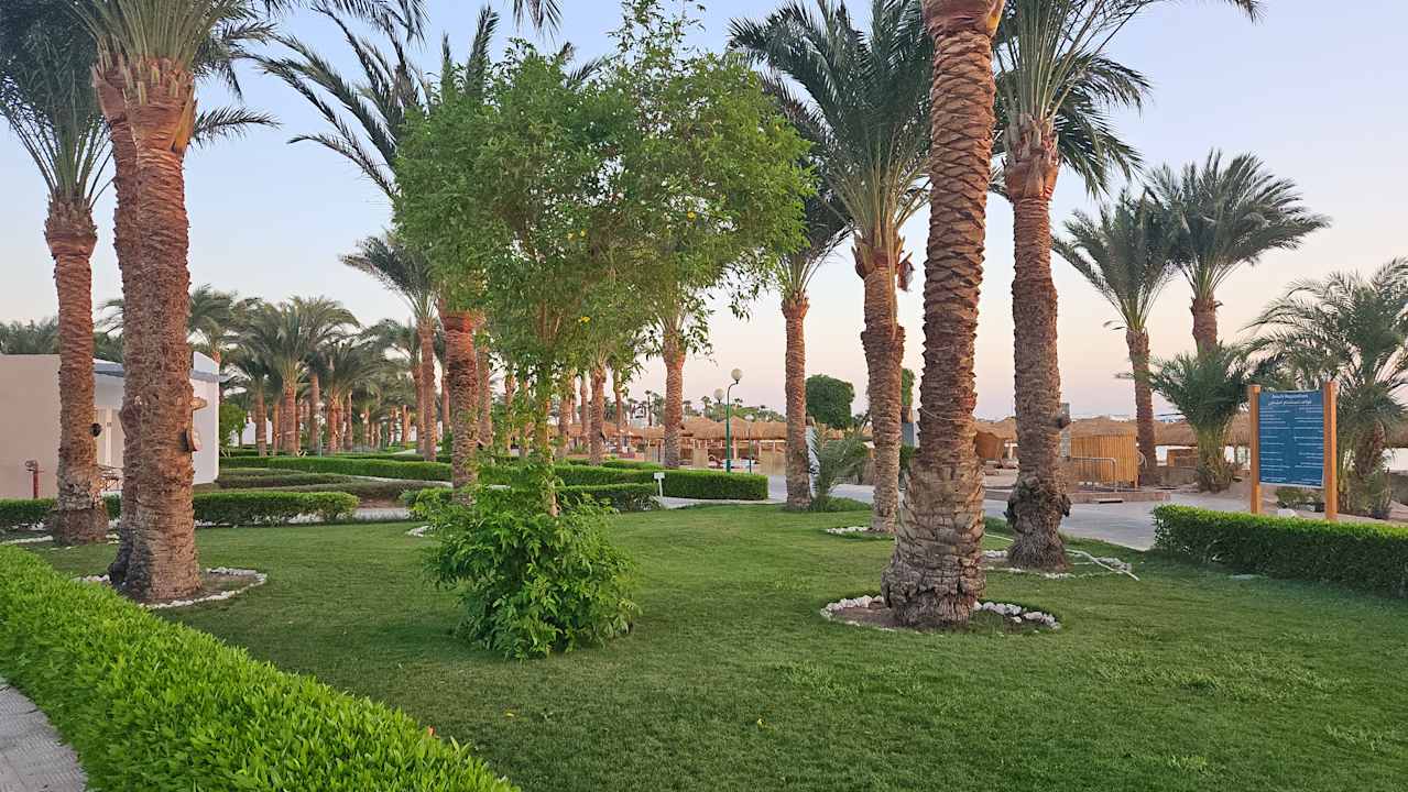 Gartenanlage Menaville Safaga