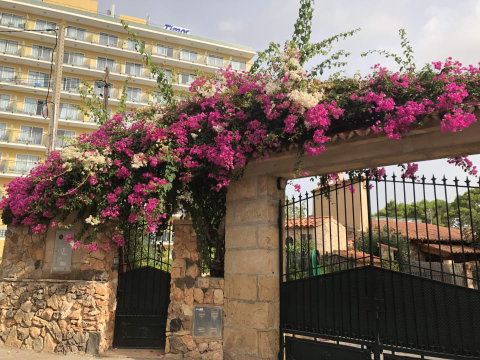 Außenansicht Hotel Timor