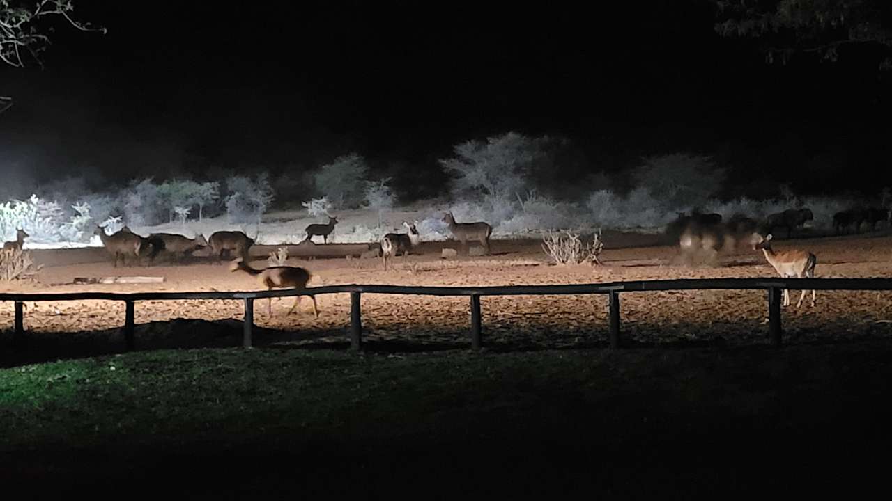 Ausblick Kalahari Bush Breaks Lodge