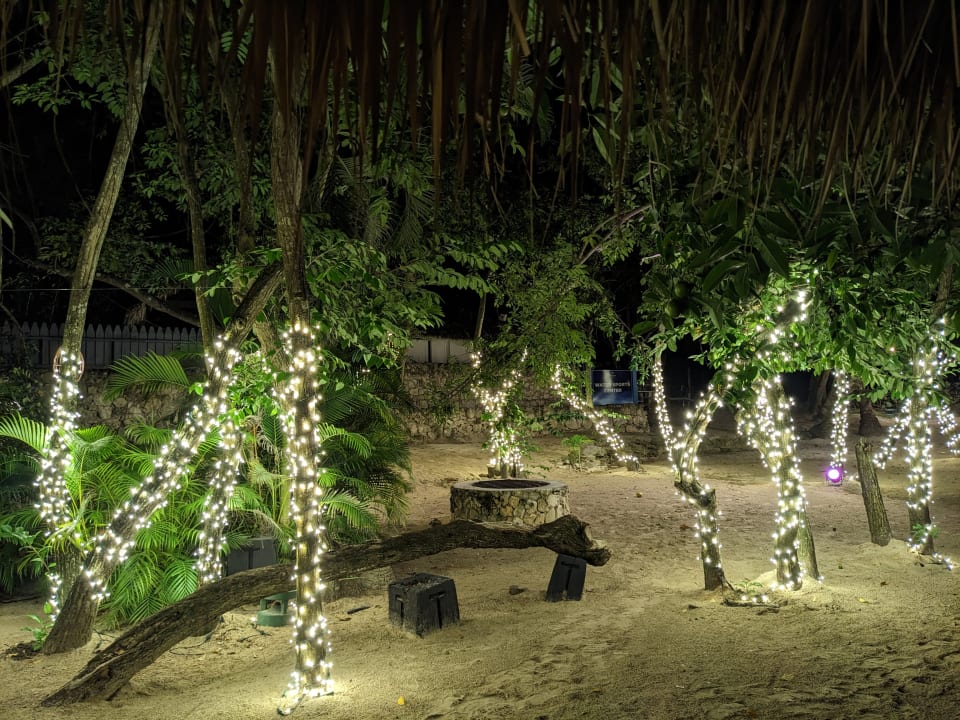 Gartenanlage Secrets La Romana Resort & Spa - Adult Only