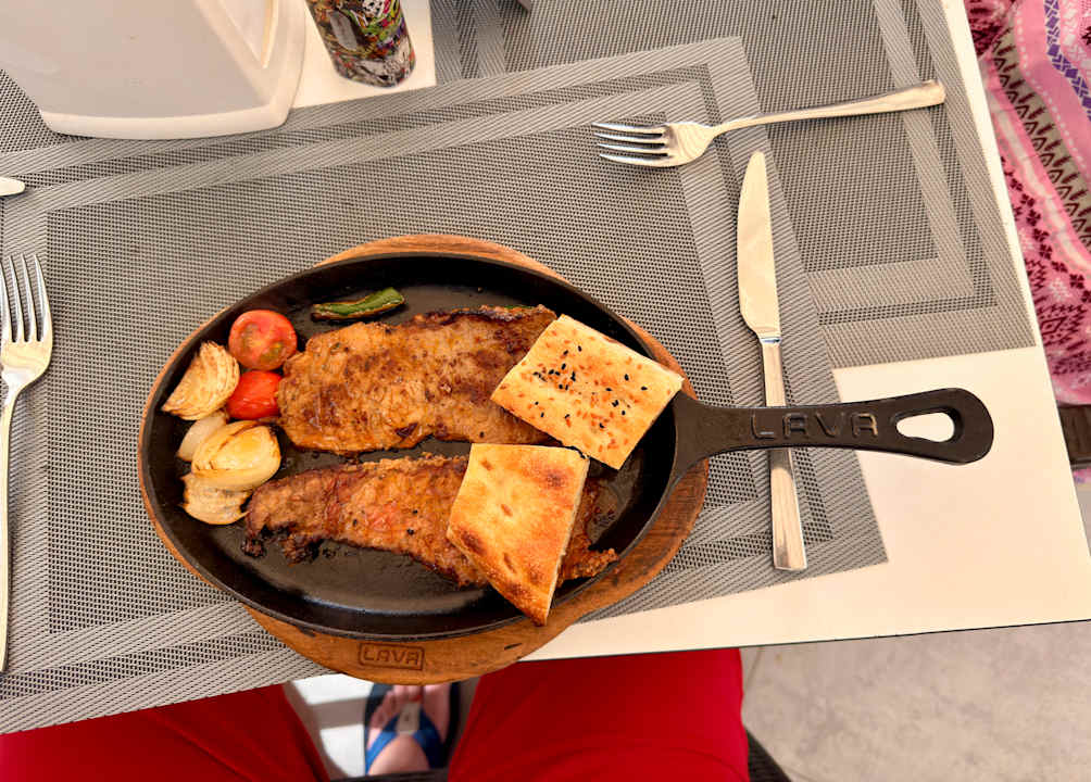 Gastro Seashell Vega