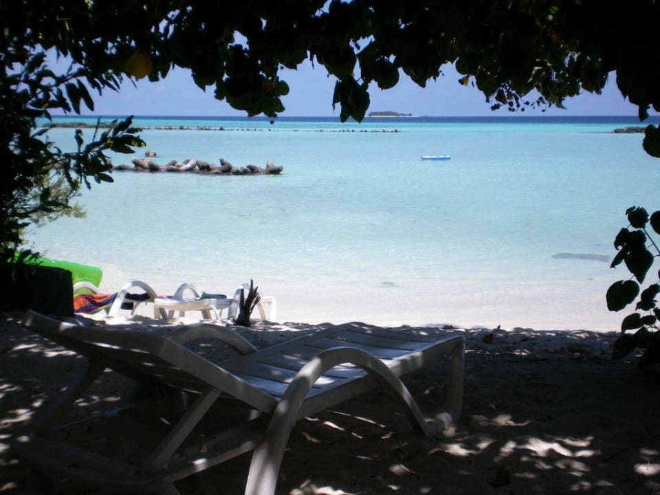 Blick vom bungi aus. Summer Island Maldives