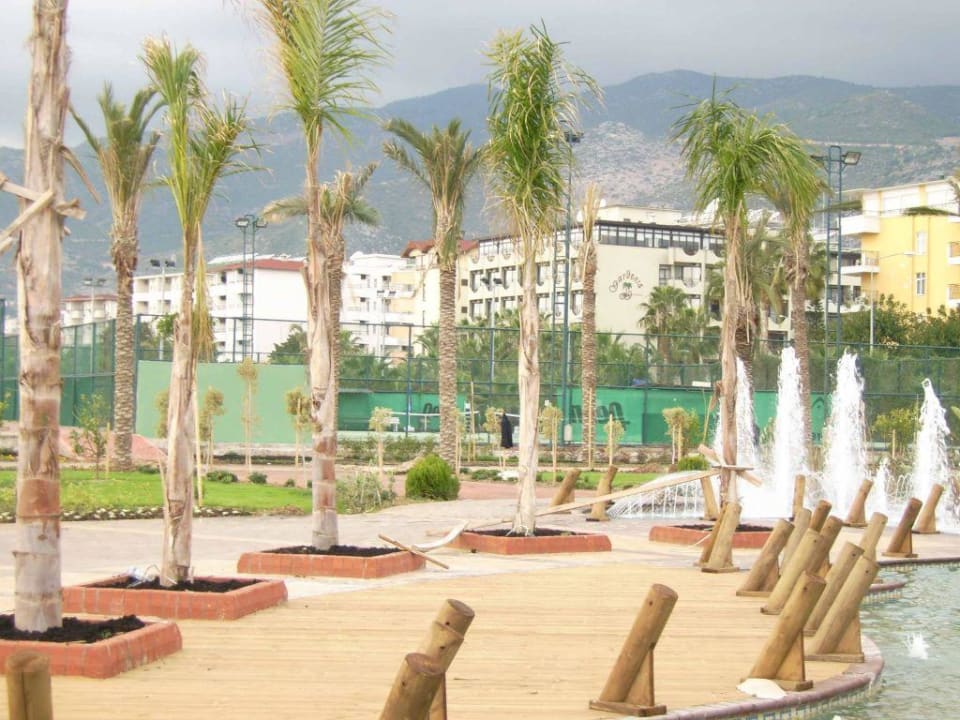 aussicht Gardenia Hotel