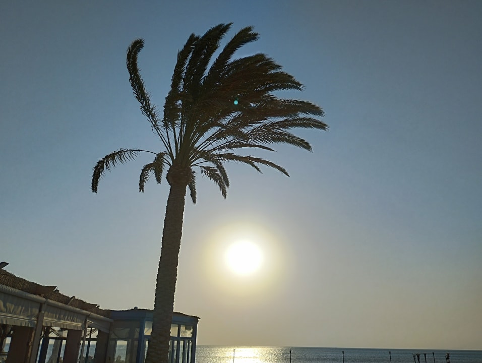 Ausblick Club Paradisio El Gouna, Red Sea