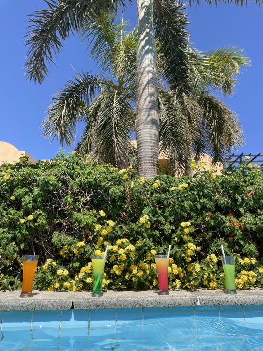 Pool Stella Garden Resort & Spa, Makadi Bay