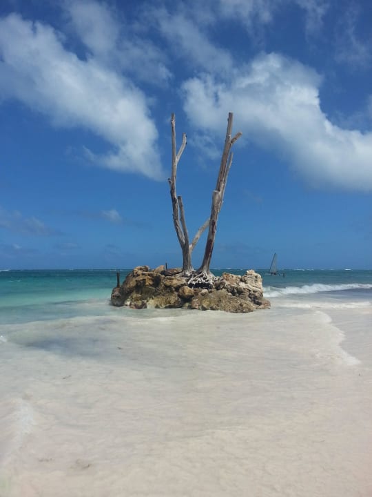 Strand TRS Turquesa Hotel - Adults only