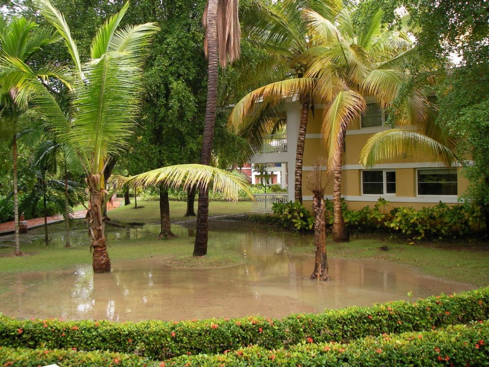 Nach einem Regentag Hotel Grand Palladium Palace Resort, Spa & Casino