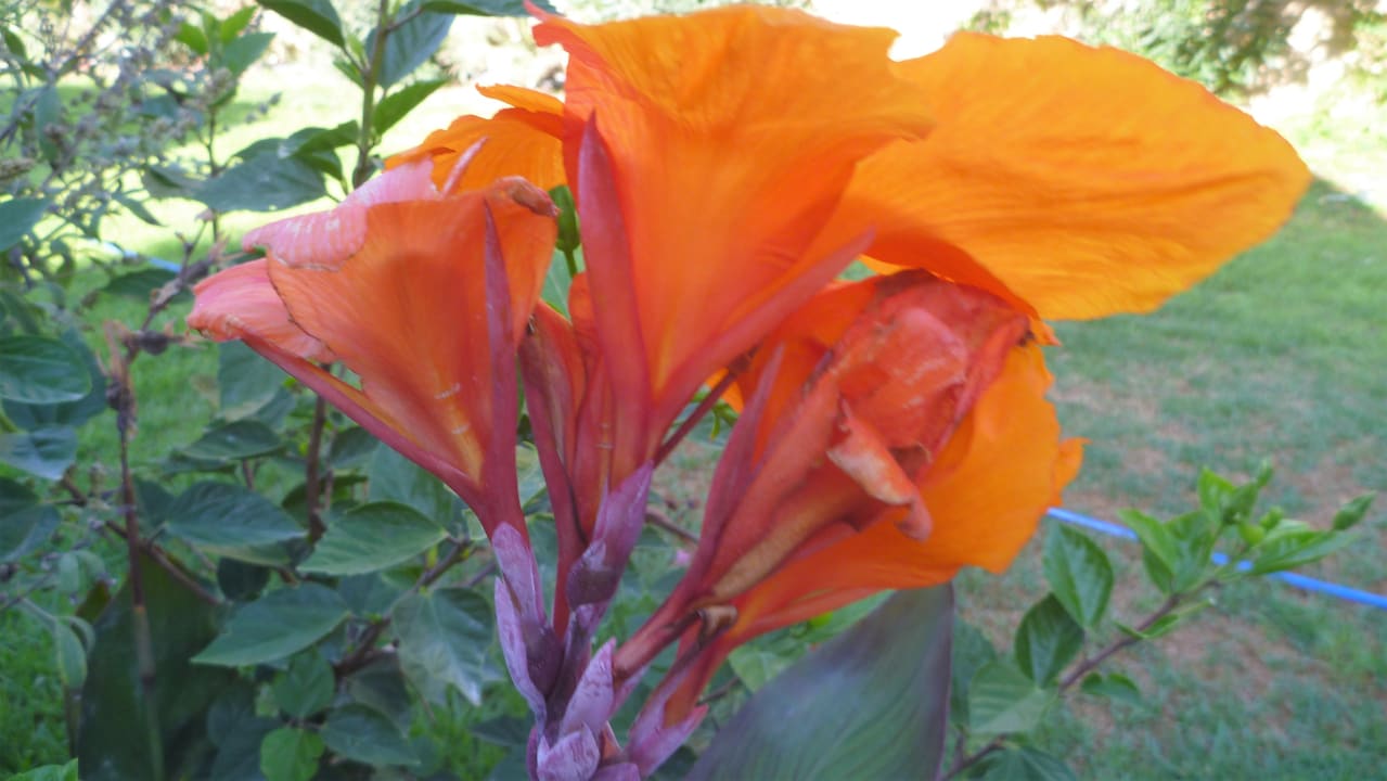 Sonstiges Santa Marina Beach