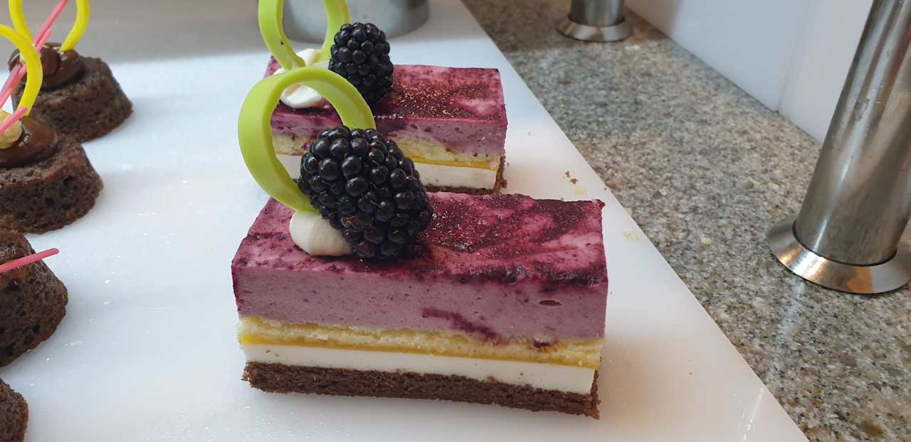 Gastro JAZ Elite Asteria