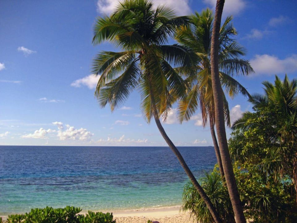 Foto von der Terrasse aus W Maldives