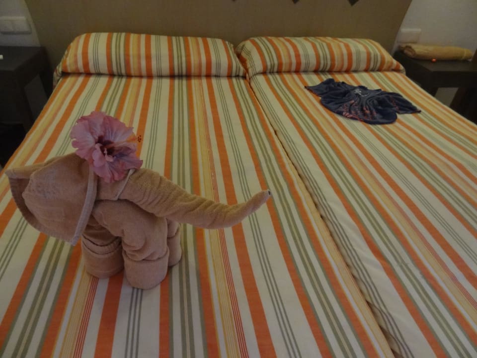 Jeden Tag eine neue Überraschung :) SBH Hotel Taro Beach