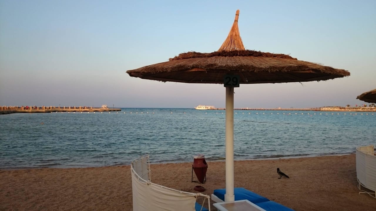 Blick auf den Strand Desert Rose