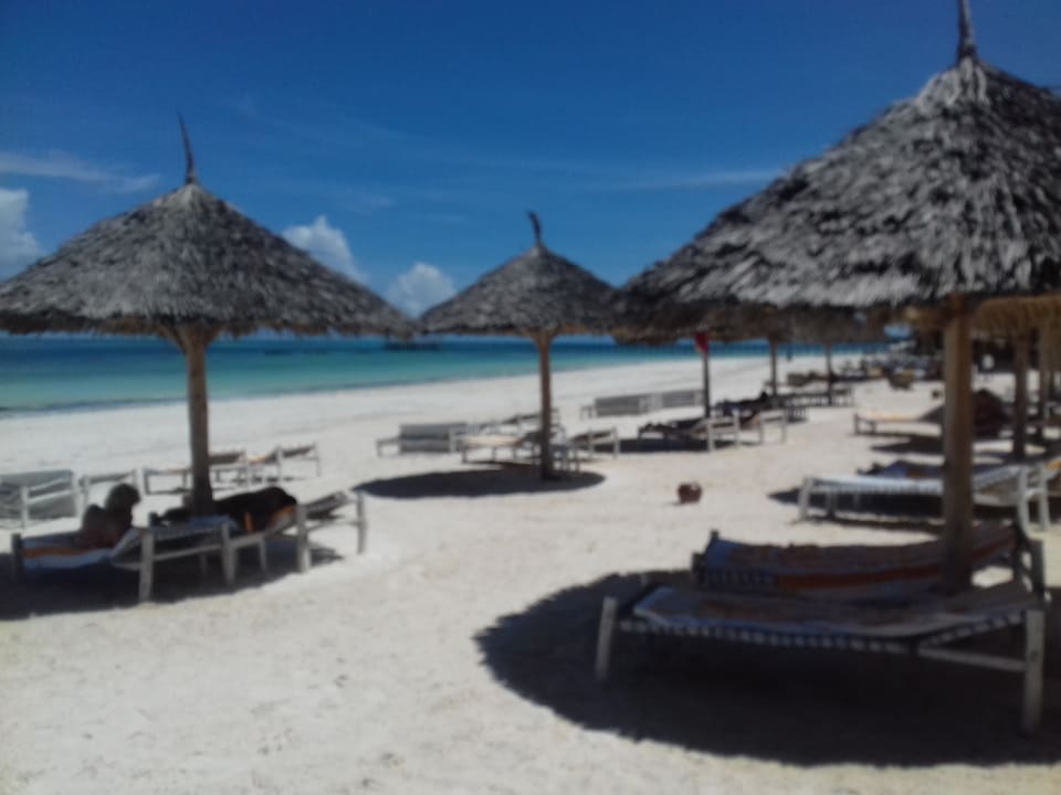 Strand Hotel Kiwengwa Beach Resort