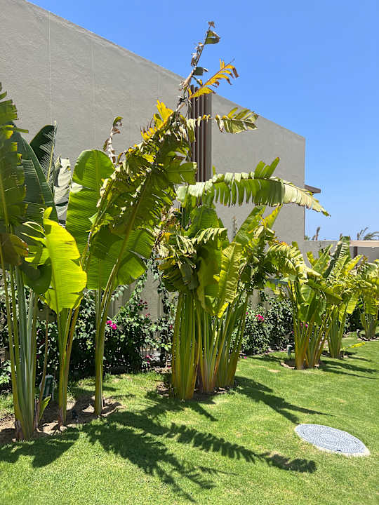 Gartenanlage JAZ Elite Riviera