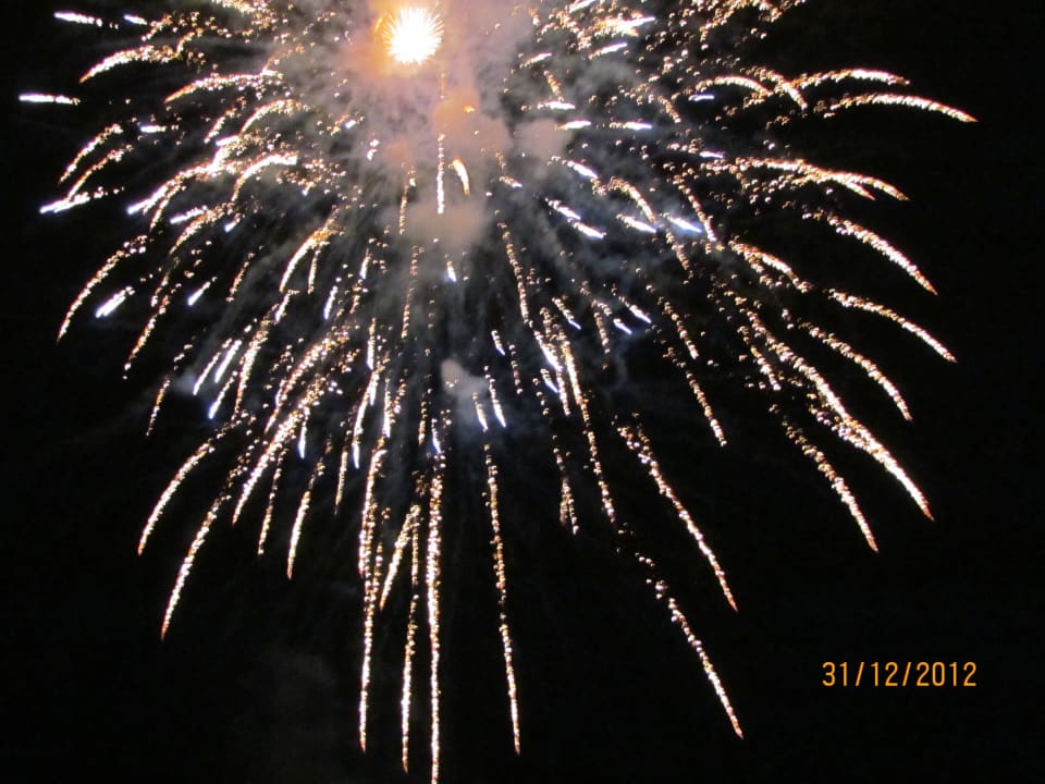 Trendy Verbena Feuerwerk Sentido Trendy Verbena Beach