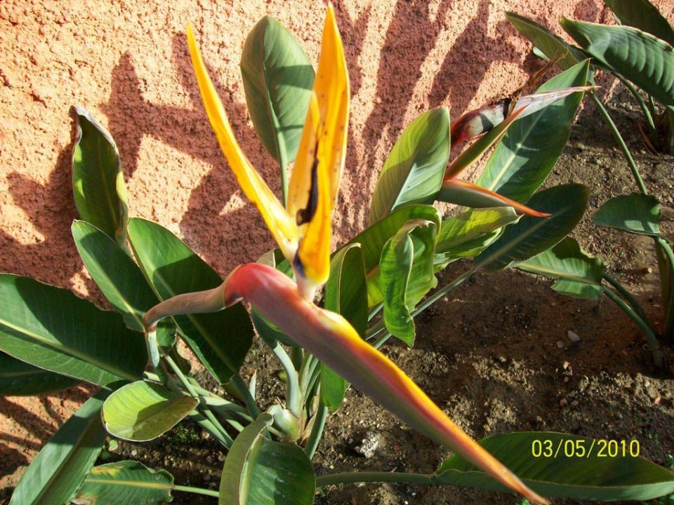 Gartenanlage Voyage Belek Golf & Spa