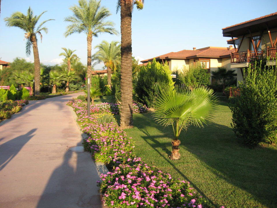 Gartenanlage TUI KIDS CLUB Felicia Village