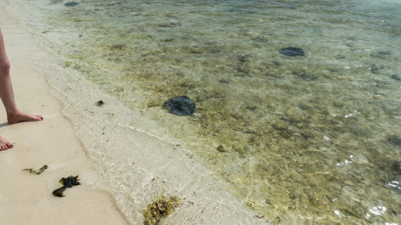 Strand Kuredu Island Resort & Spa