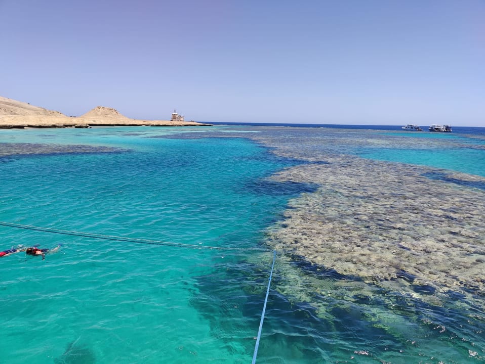 Sport & Freizeit Beach Albatros Resort