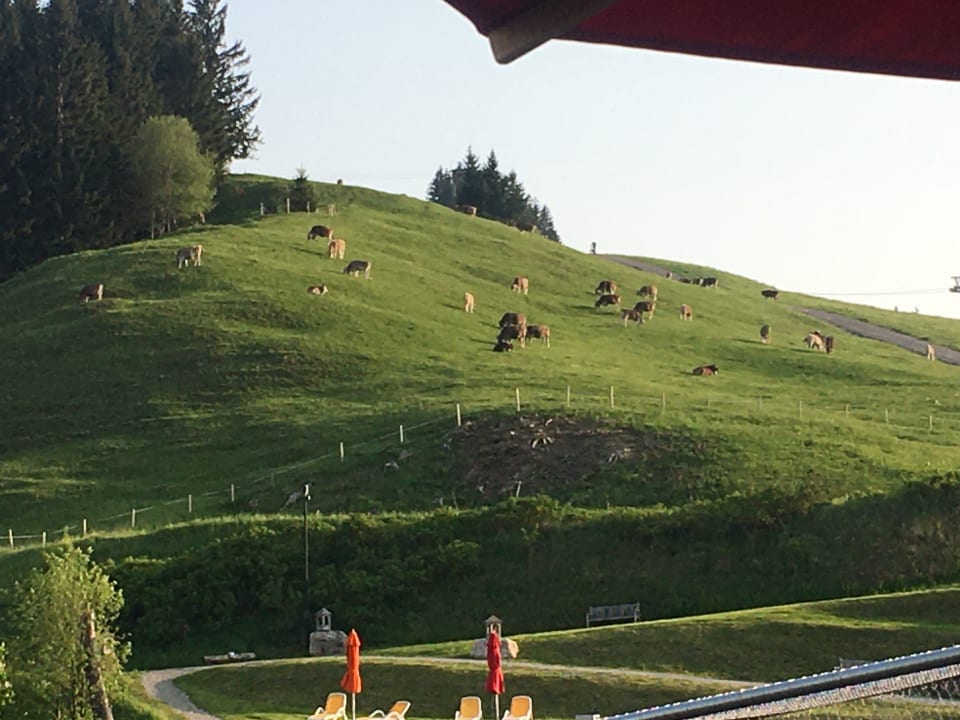 Ausblick Familotel Allgäuer Berghof